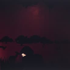 Hannah Starkey