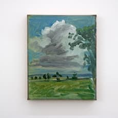 Brecht Koelman