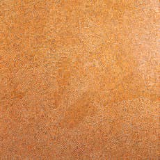 Michael Reid TJAPANANGKA