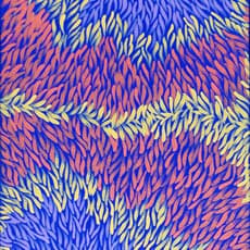 Serianne Butcher NAPANGARDI