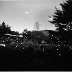 Gregory Crewdson