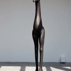 Marija Ujević Galetović