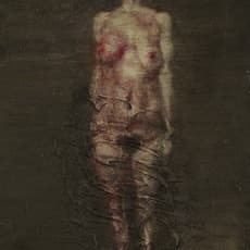 Zhou Chunya 周春芽