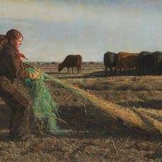 Patrick Douglass Cox