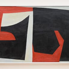 Saori Akutagawa (Madokoro)