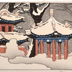 Pieter Irwin Brown
