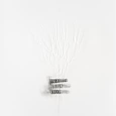Yannick De Serre