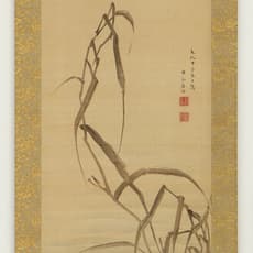Koike Kyokkou