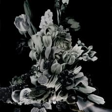 Maurice Scheltens & Liesbeth Abbenes