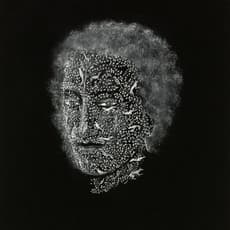 Juul Kraijer