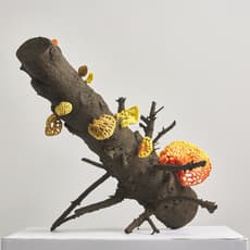 Sharu Binnong Sikdar