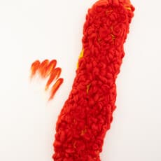 Alyssarhaye Graciano