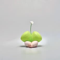 Pintong Huang