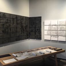 Shi Yunyuan 石韵媛