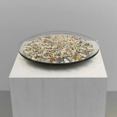 Agnes Denes