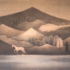 Hong Tao Huang 黄红涛