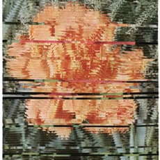 Alexis Anne Mackenzie