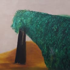 Diane Chappalley