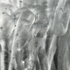Leander Herzog