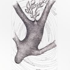 Farkhondeh Shahroudi