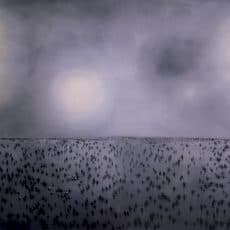 Yin Zhaoyang 尹朝阳