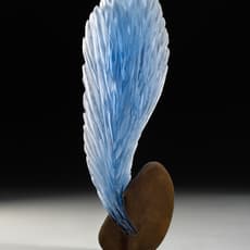 Alex Gabriel Bernstein