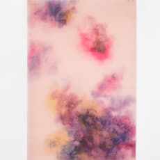 Hernâni Reis Baptista