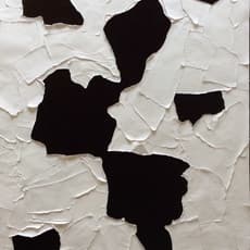 Victoria P. Wonnacott