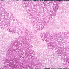 Josie (Josepha) Petrick Kemarre