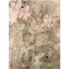 Sofía Fernández Díaz