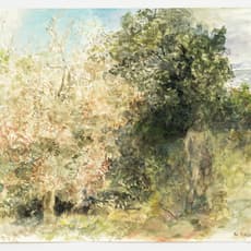 Marion Wagschal