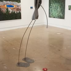 Kiran Sattar