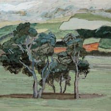 Stephen Chun Hei Wong 黃進曦