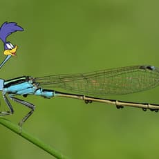 Miguel Ángel Fúnez