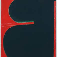 Lutz Driessen