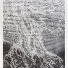 Christian Schwarzwald