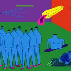 Ruohan Wang 王若晗