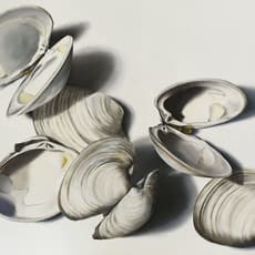Renee Levin