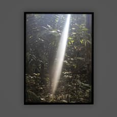 Santiago Díaz Escamilla