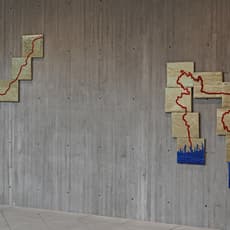 Nalini Malani & Iftikhar Dadi