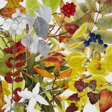 Soyoun Jeong