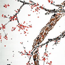 Jaikwang Rim