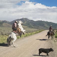 Lucas Foglia