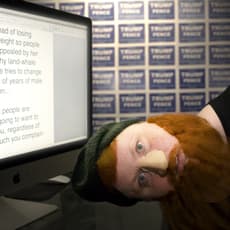 Haley Morris-Cafiero