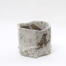 Toru Ichikawa 市川透