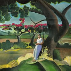 Shibu Natesan