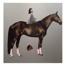 Anke Schofield