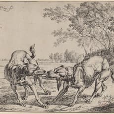 Jan le Ducq