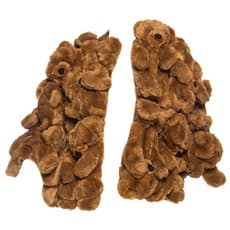 Jean-Charles de Castelbajac