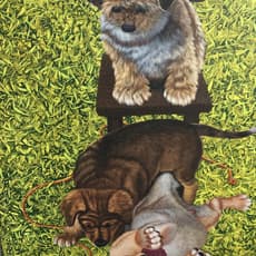 Bencharong Kowapitaktat